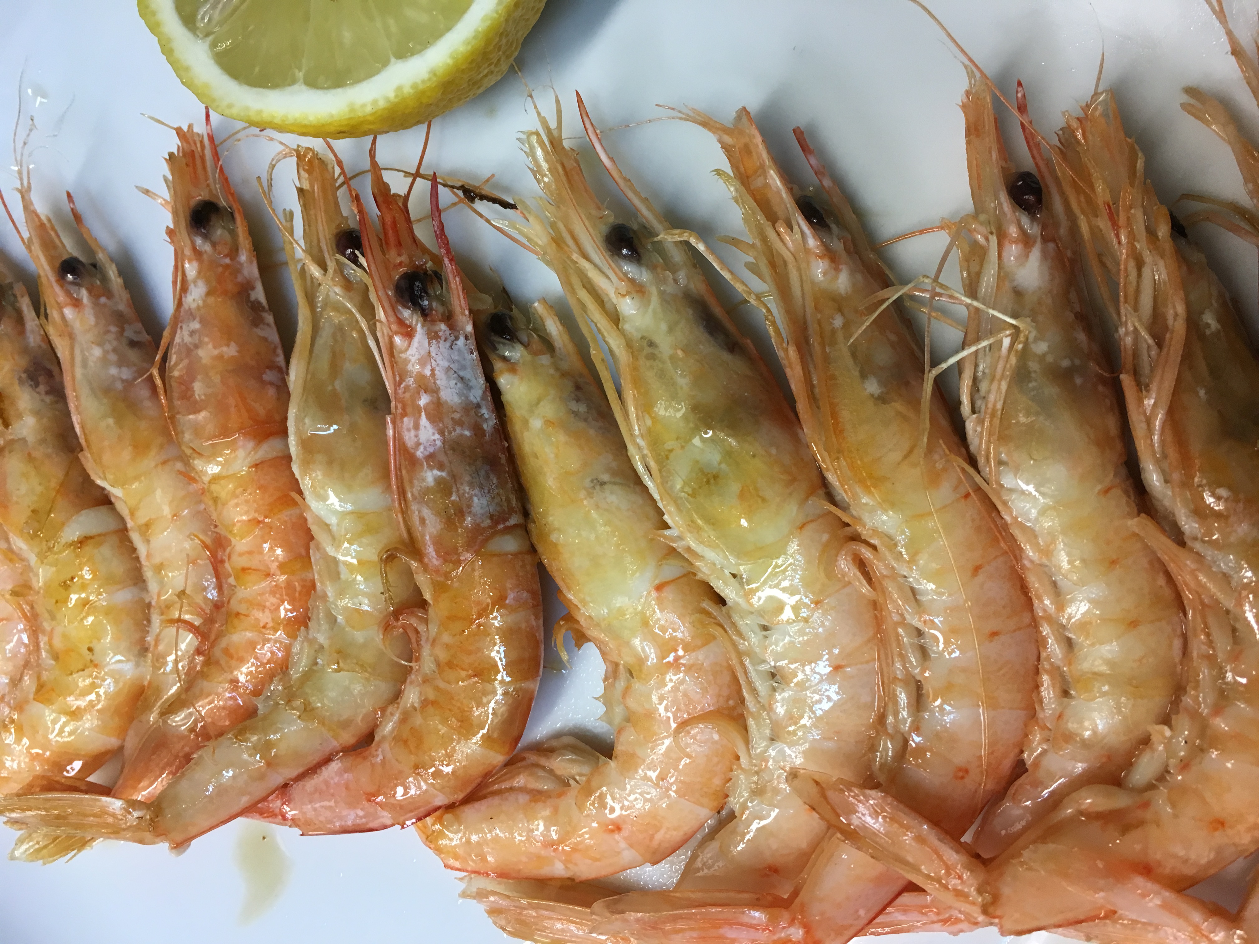 Imagen para: GAMBAS A LA PLANCHA